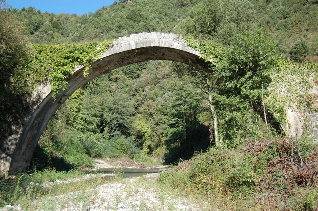 B&B Calabria Scigliano Extérieur photo