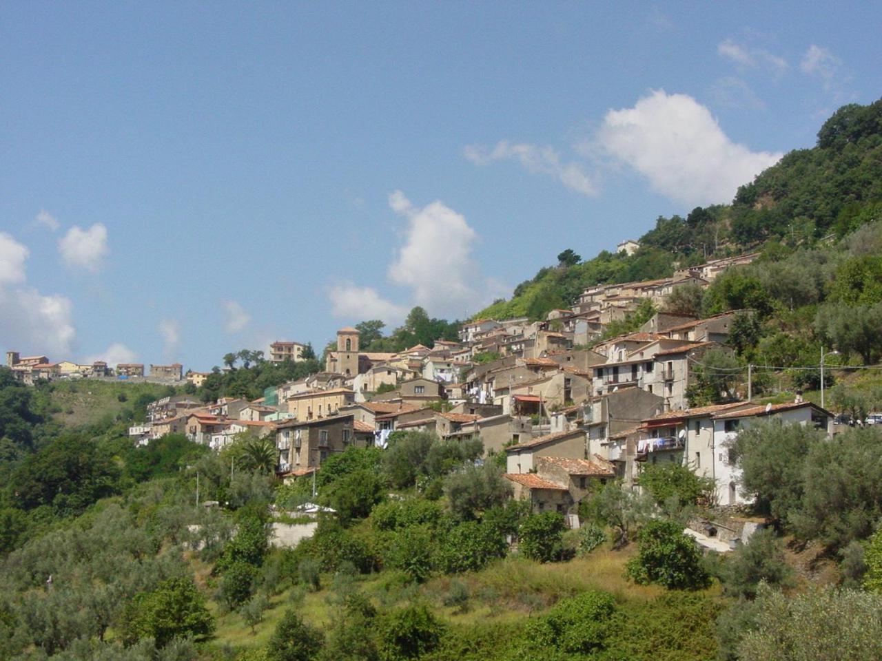 B&B Calabria Scigliano Extérieur photo