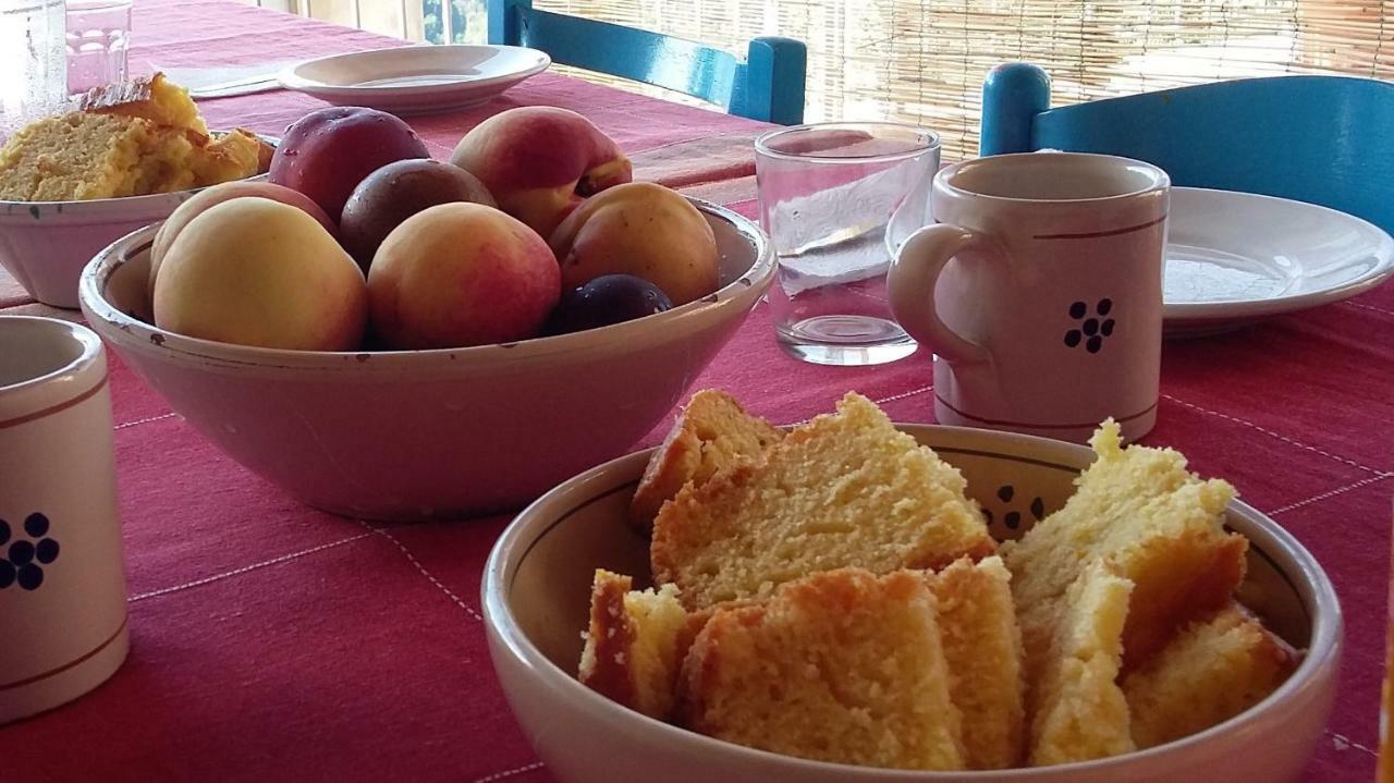 B&B Calabria Scigliano Extérieur photo