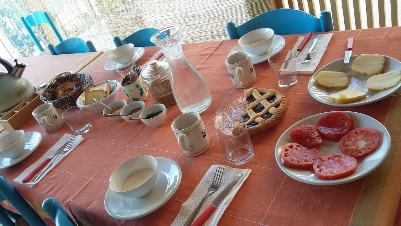 B&B Calabria Scigliano Extérieur photo
